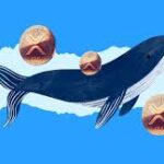 XRP-WHALW.jpg