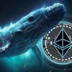 eth-whale.jpg