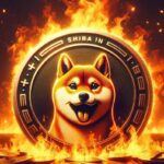 shiba-inu-burn-e1704371211799