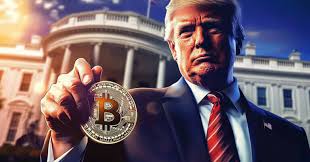 BTC-TRUMP