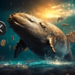 whale-xrp